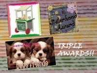 triple_awards-300x225